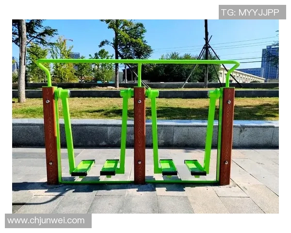 小型健身器材图文详解及选购指南