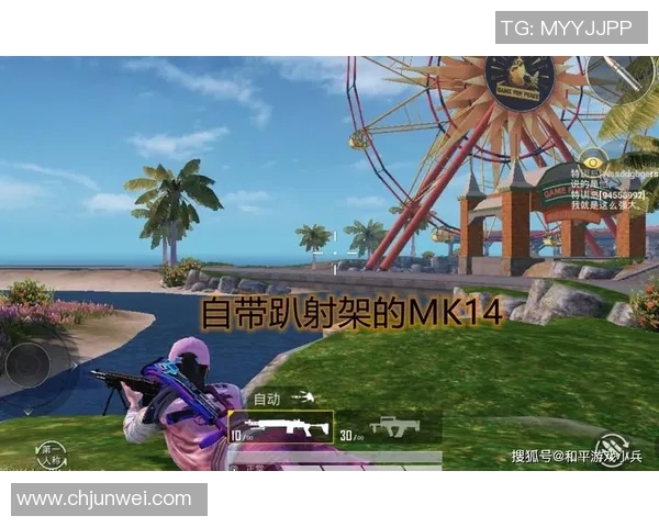 和平精英评论：LNG在阵地战中的优势与不足分析