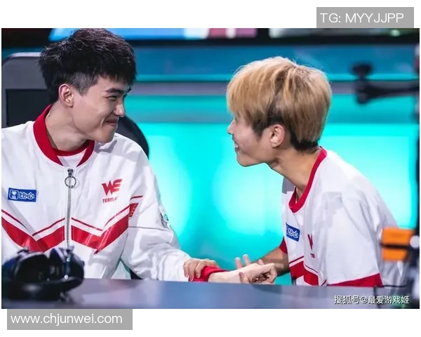 王者荣耀赛事分析：WE战队进攻策略的优缺点与未来改进方向