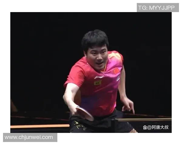 对话乒乓球名将王敏回顾辉煌生涯与未来展望