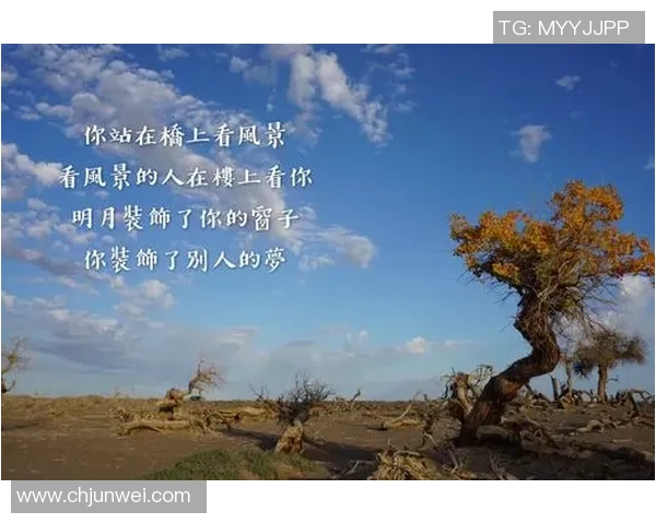 极限运动的成功秘诀黄静分享她的心路历程与挑战故事