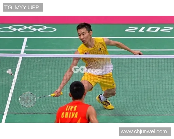 武汉羽毛球队与深圳羽毛球队赛后复盘分析意识对抗与战术运用