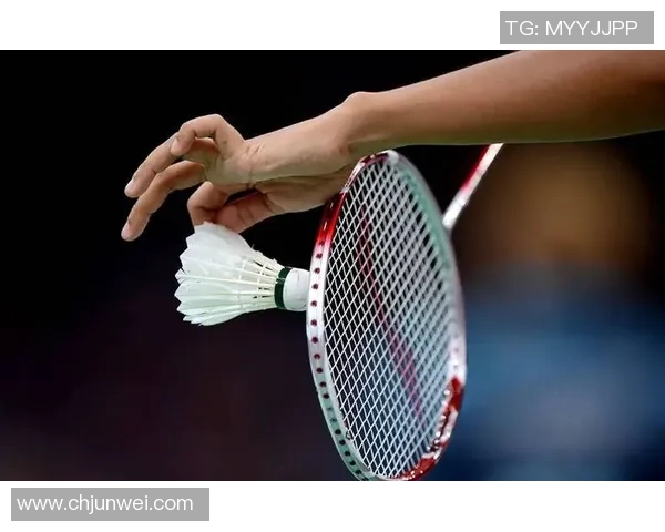 北京羽毛球队战术揭秘：包夹策略如何助力夺冠之路