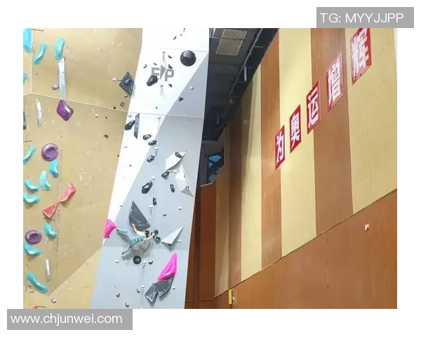 重庆攀岩队的阵地战揭秘：探索攀岩深度与团队精神的结合之道